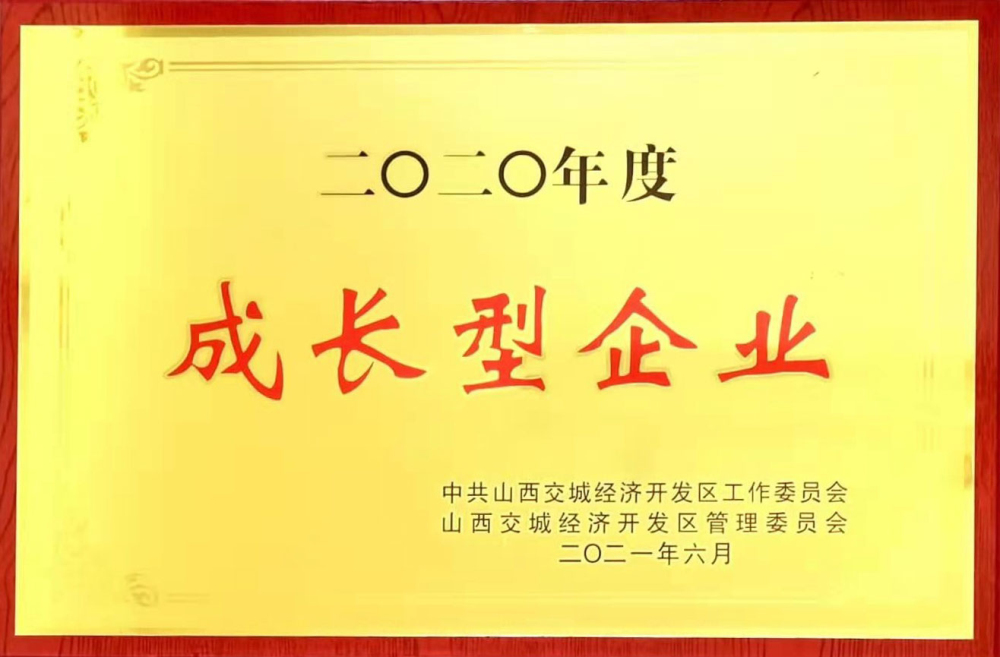 2020年度成長型企業